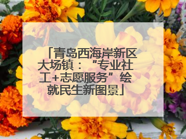 青岛西海岸新区大场镇：“专业社工+志愿服务”绘就民生新图景