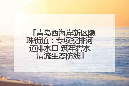 青岛西海岸新区隐珠街道：专项摸排河道排水口 筑牢碧水清流生态防线