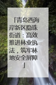 青岛西海岸新区隐珠街道：高效推进林业执法，筑牢林地安全屏障