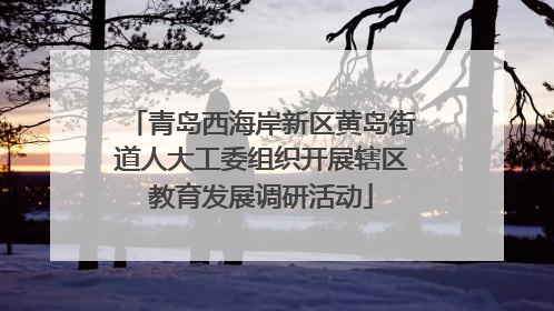 青岛西海岸新区黄岛街道人大工委组织开展辖区教育发展调研活动