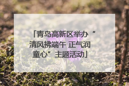 青岛高新区举办“清风拂端午 正气润童心”主题活动