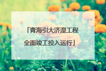 青海引大济湟工程全面竣工投入运行