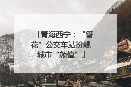 青海西宁：“簪花”公交车站扮靓城市“颜值”