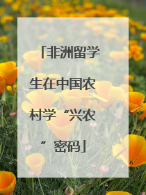 非洲留学生在中国农村学“兴农”密码