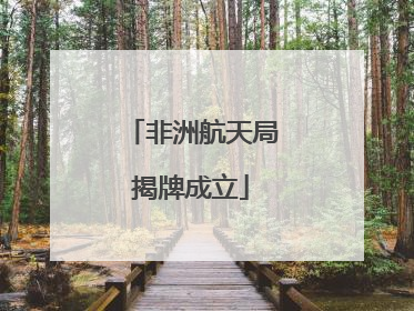 非洲航天局揭牌成立