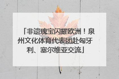 非遗瑰宝闪耀欧洲！泉州文化体育代表团赴匈牙利、塞尔维亚交流