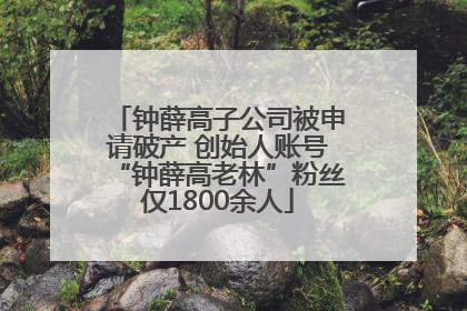 钟薛高子公司被申请破产 创始人账号“钟薛高老林”粉丝仅1800余人