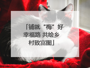 铺就“梅”好幸福路 共绘乡村致富图
