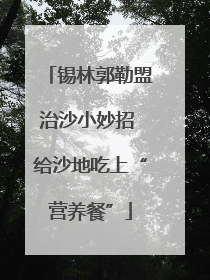 锡林郭勒盟治沙小妙招 给沙地吃上“营养餐”