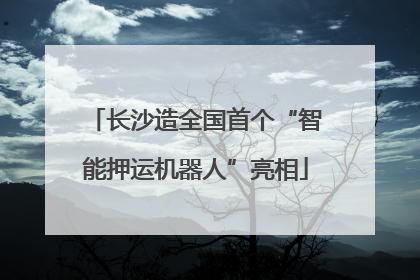 长沙造全国首个“智能押运机器人”亮相