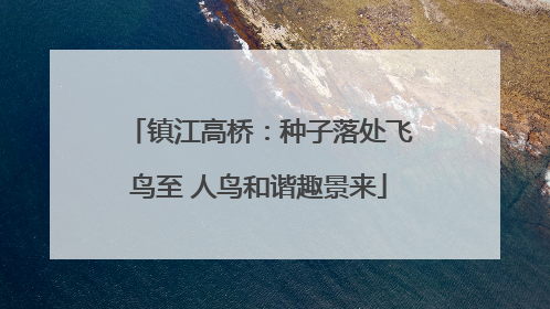 镇江高桥：种子落处飞鸟至 人鸟和谐趣景来