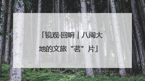 镜观·回响｜八闽大地的文旅“茗”片