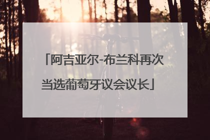 阿吉亚尔-布兰科再次当选葡萄牙议会议长