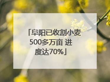 阜阳已收割小麦500多万亩 进度达70%