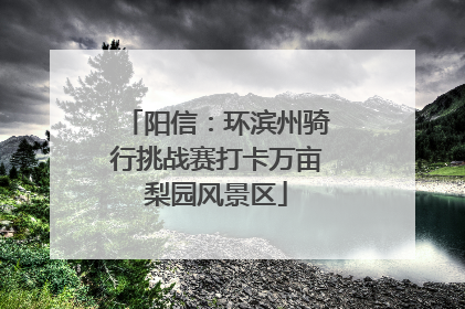 阳信：环滨州骑行挑战赛打卡万亩梨园风景区