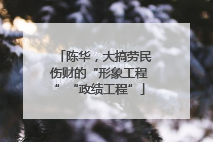 陈华，大搞劳民伤财的“形象工程”“政绩工程”