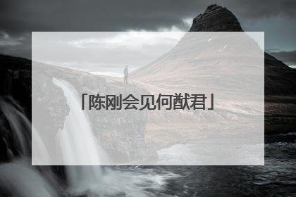 陈刚会见何猷君