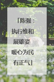 陈强：执行维和展雄姿 暖心为民有正气
