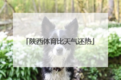 陕西体育比天气还热