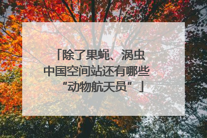 除了果蝇、涡虫 中国空间站还有哪些“动物航天员”