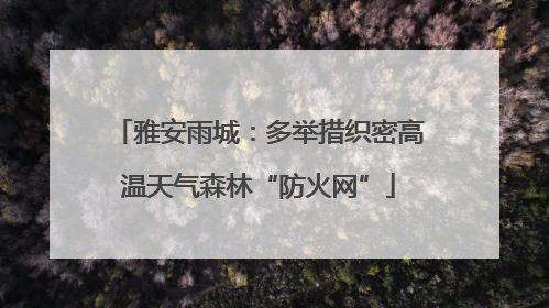 雅安雨城：多举措织密高温天气森林“防火网”
