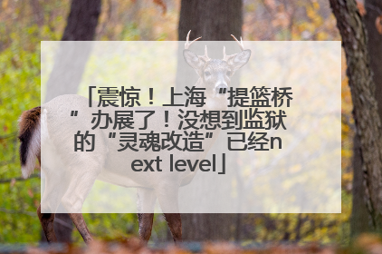 震惊！上海“提篮桥”办展了！没想到监狱的“灵魂改造”已经next level