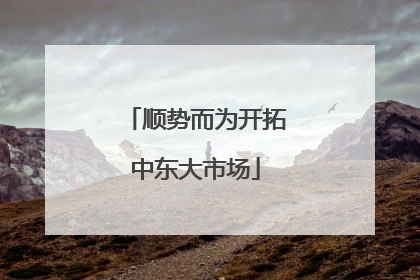 顺势而为开拓中东大市场