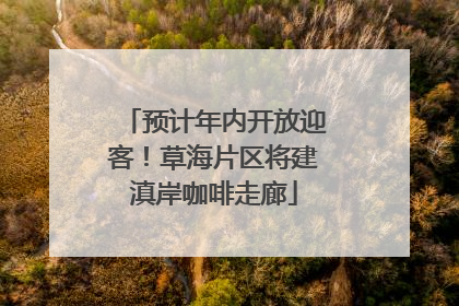 预计年内开放迎客！草海片区将建滇岸咖啡走廊