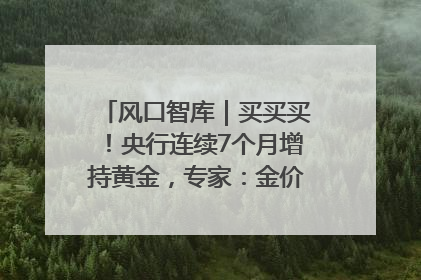 风口智库｜买买买！央行连续7个月增持黄金，专家：金价或仍易涨难跌