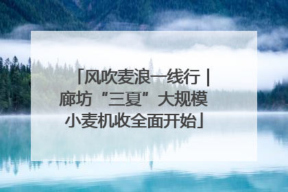 风吹麦浪一线行｜廊坊“三夏”大规模小麦机收全面开始