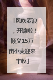 风吹麦浪，开镰啦！顺义15万亩小麦迎来丰收