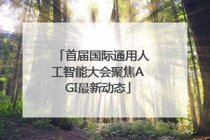 首届国际通用人工智能大会聚焦AGI最新动态
