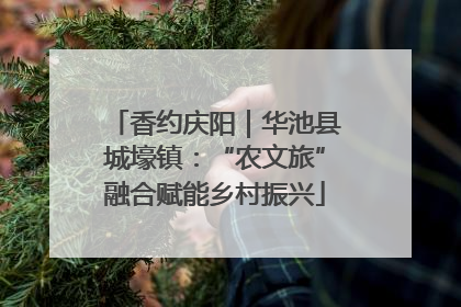 香约庆阳｜华池县城壕镇：“农文旅”融合赋能乡村振兴