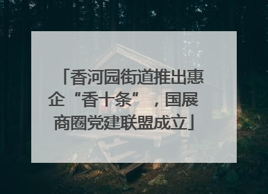 香河园街道推出惠企“香十条”，国展商圈党建联盟成立