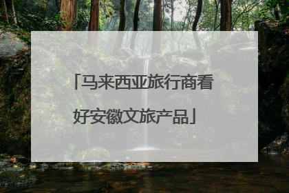 马来西亚旅行商看好安徽文旅产品