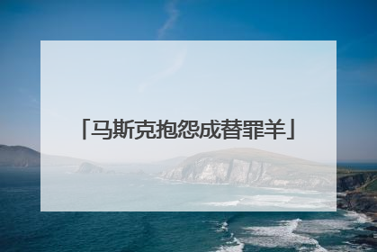 马斯克抱怨成替罪羊