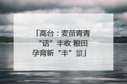 高台：麦苗青青“话”丰收 粮田孕育新“丰”景