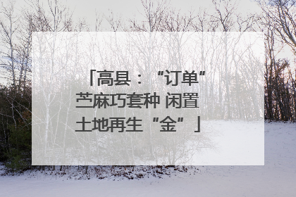 高县：“订单”苎麻巧套种 闲置土地再生“金”