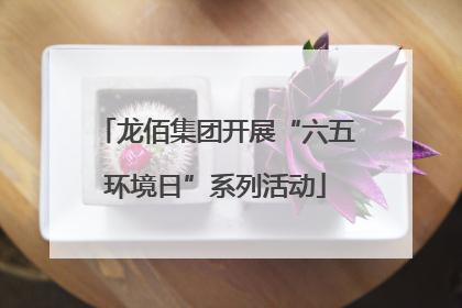 龙佰集团开展“六五环境日”系列活动
