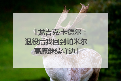 龙吉克·卡德尔：退役后我回到帕米尔高原继续守边