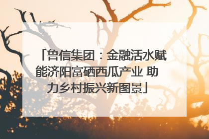 鲁信集团：金融活水赋能济阳富硒西瓜产业 助力乡村振兴新图景