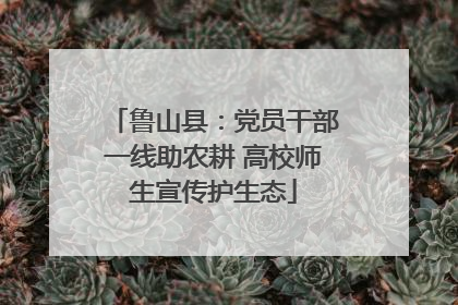 鲁山县：党员干部一线助农耕 高校师生宣传护生态