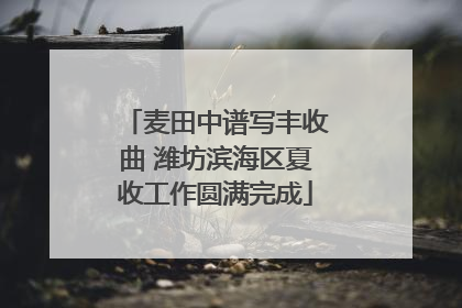 麦田中谱写丰收曲 潍坊滨海区夏收工作圆满完成