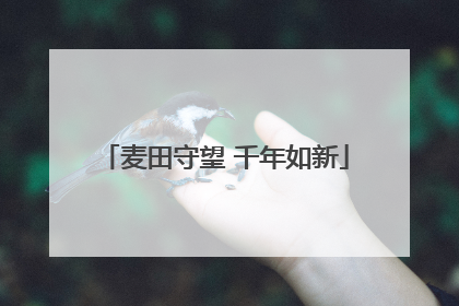 麦田守望 千年如新