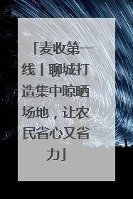 麦收第一线丨聊城打造集中晾晒场地，让农民省心又省力