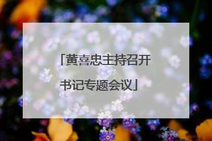 黄喜忠主持召开书记专题会议