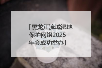 黑龙江流域湿地保护网络2025年会成功举办