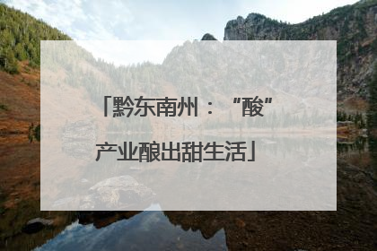 黔东南州：“酸”产业酿出甜生活