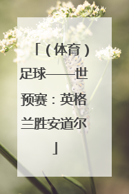 （体育）足球——世预赛：英格兰胜安道尔