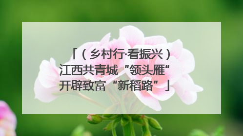 （乡村行·看振兴）江西共青城“领头雁”开辟致富“新稻路”